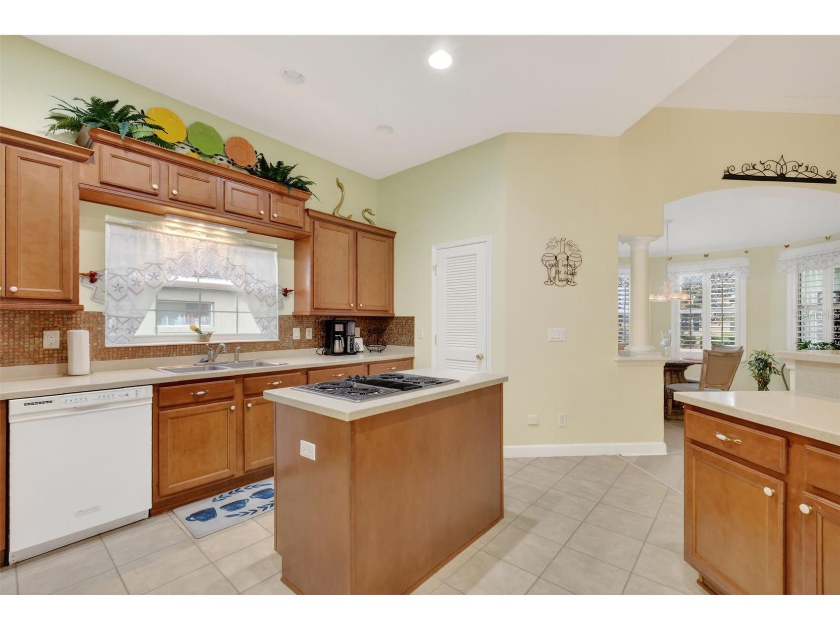 3054 New Haven Place Mount Dora FL 32757 O6373374 image25