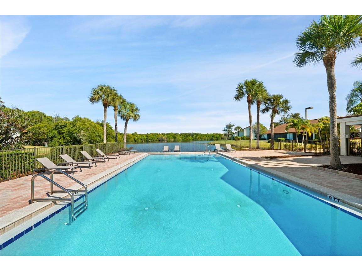 3054 Pelican Place Clearwater FL 33762 W7880712 image32