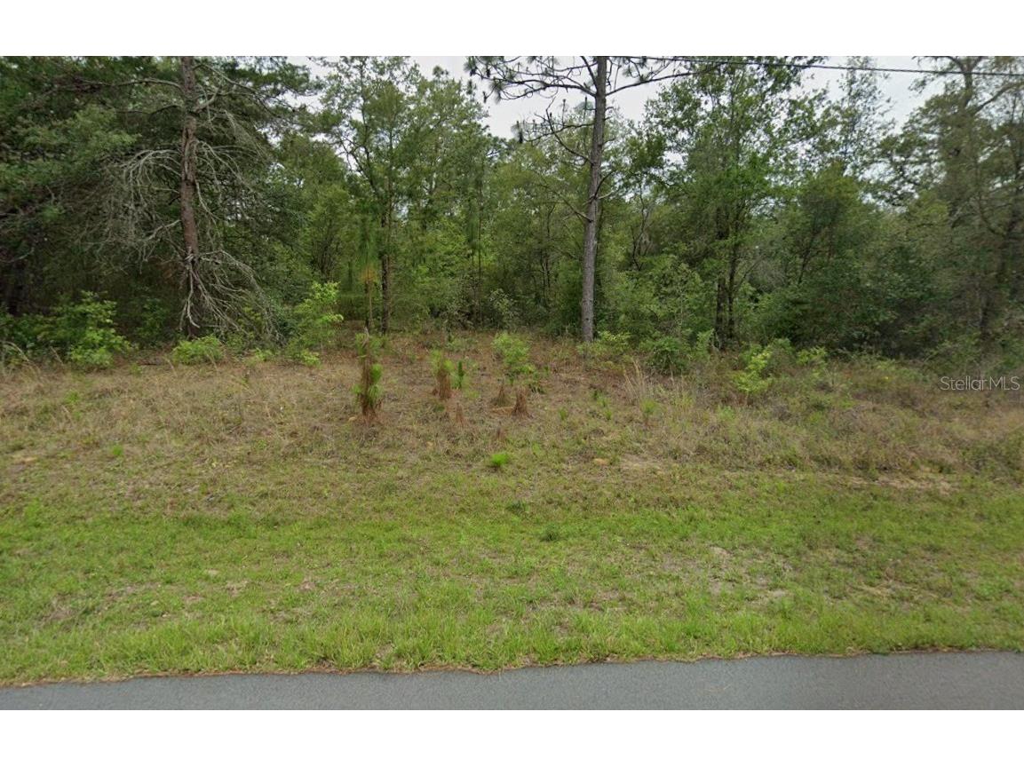 3054 W Hamlet Place Citrus Springs FL 34433 TB8496228 image1
