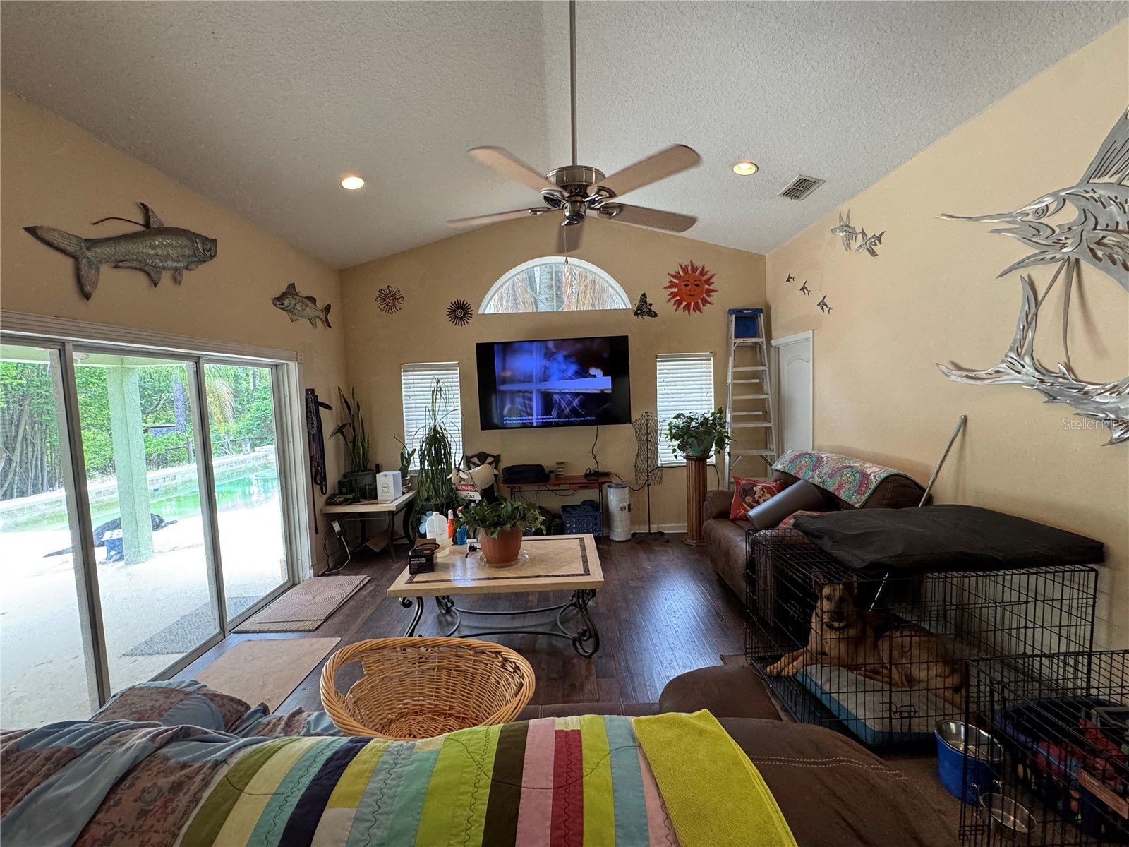 30542 Apricot Avenue Eustis FL 32736 O6404024 image11