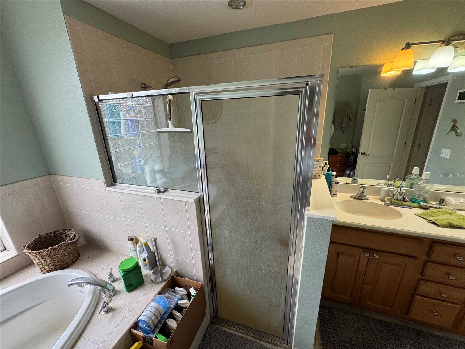30542 Apricot Avenue Eustis FL 32736 O6404024 image20