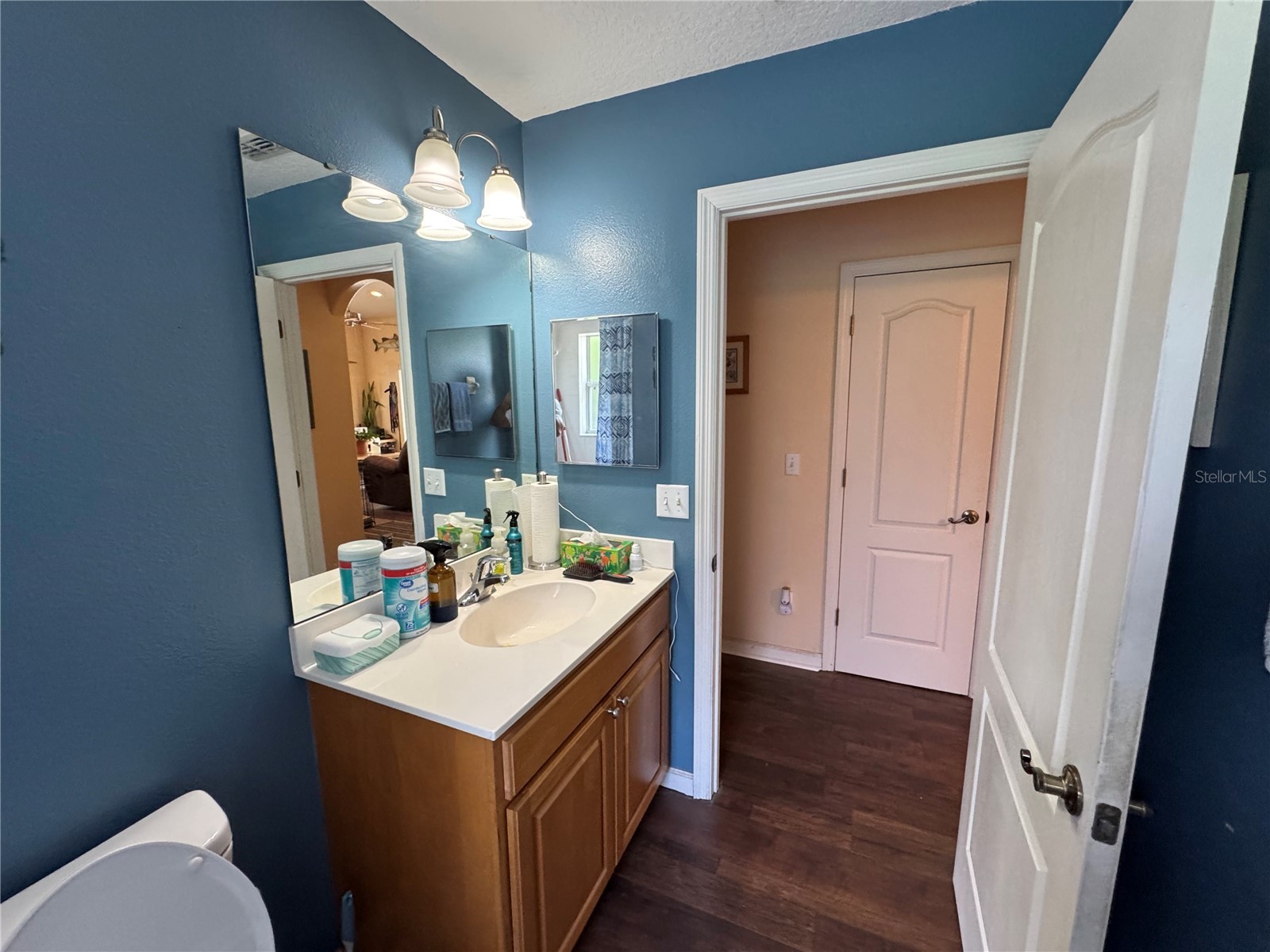30542 Apricot Avenue Eustis FL 32736 O6404024 image28
