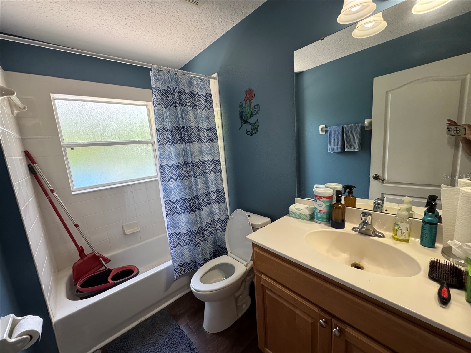 30542 Apricot Avenue Eustis FL 32736 O6404024 image29