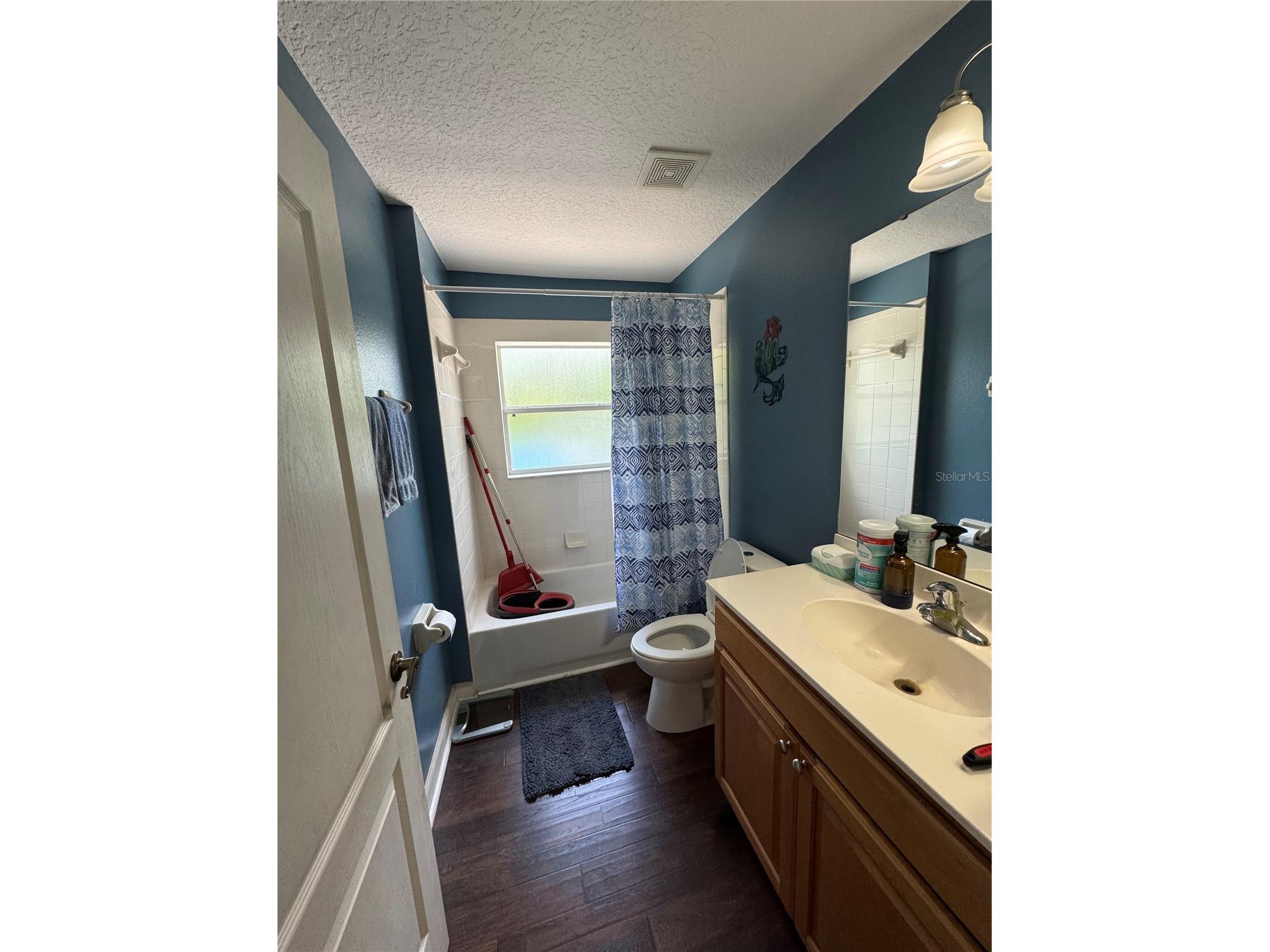 30542 Apricot Avenue Eustis FL 32736 O6404024 image30