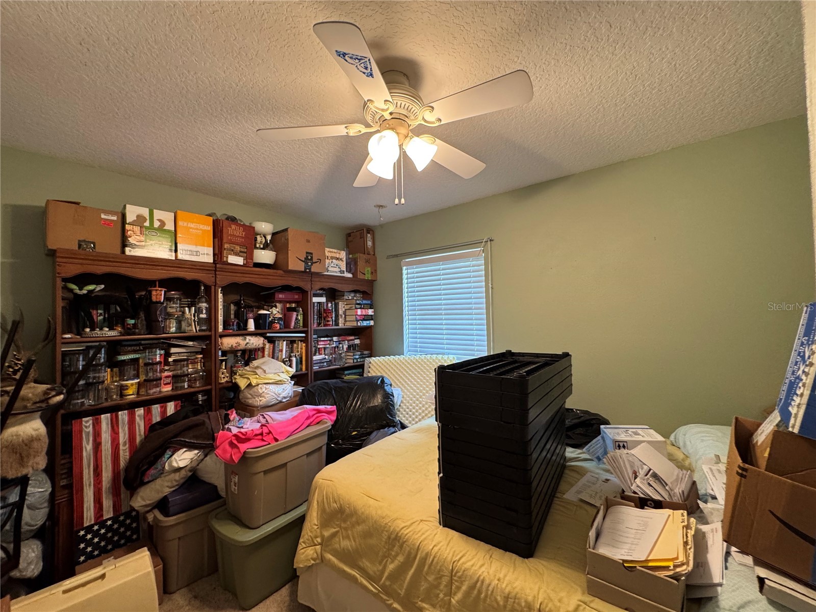 30542 Apricot Avenue Eustis FL 32736 O6404024 image31