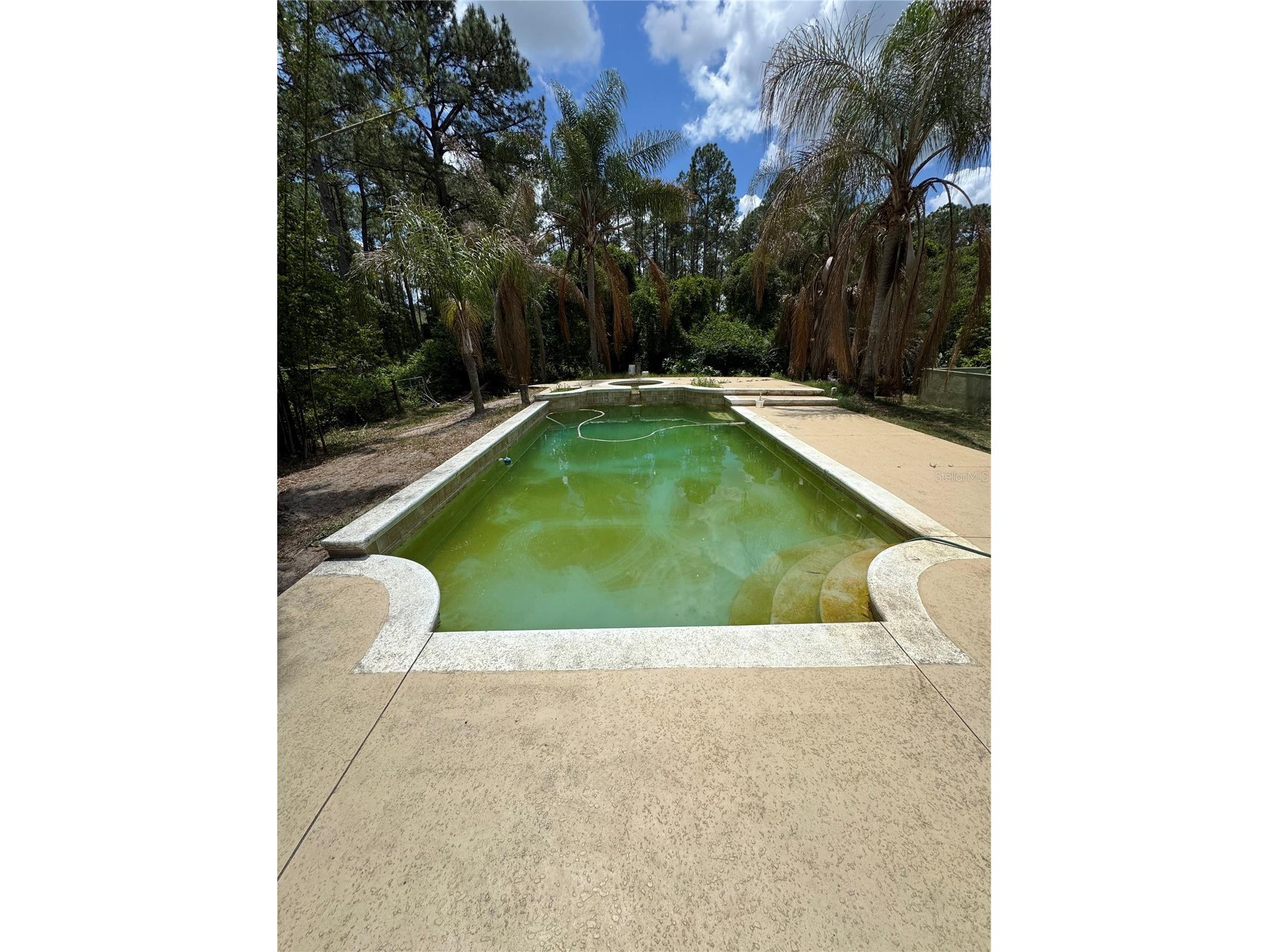 30542 Apricot Avenue Eustis FL 32736 O6404024 image7