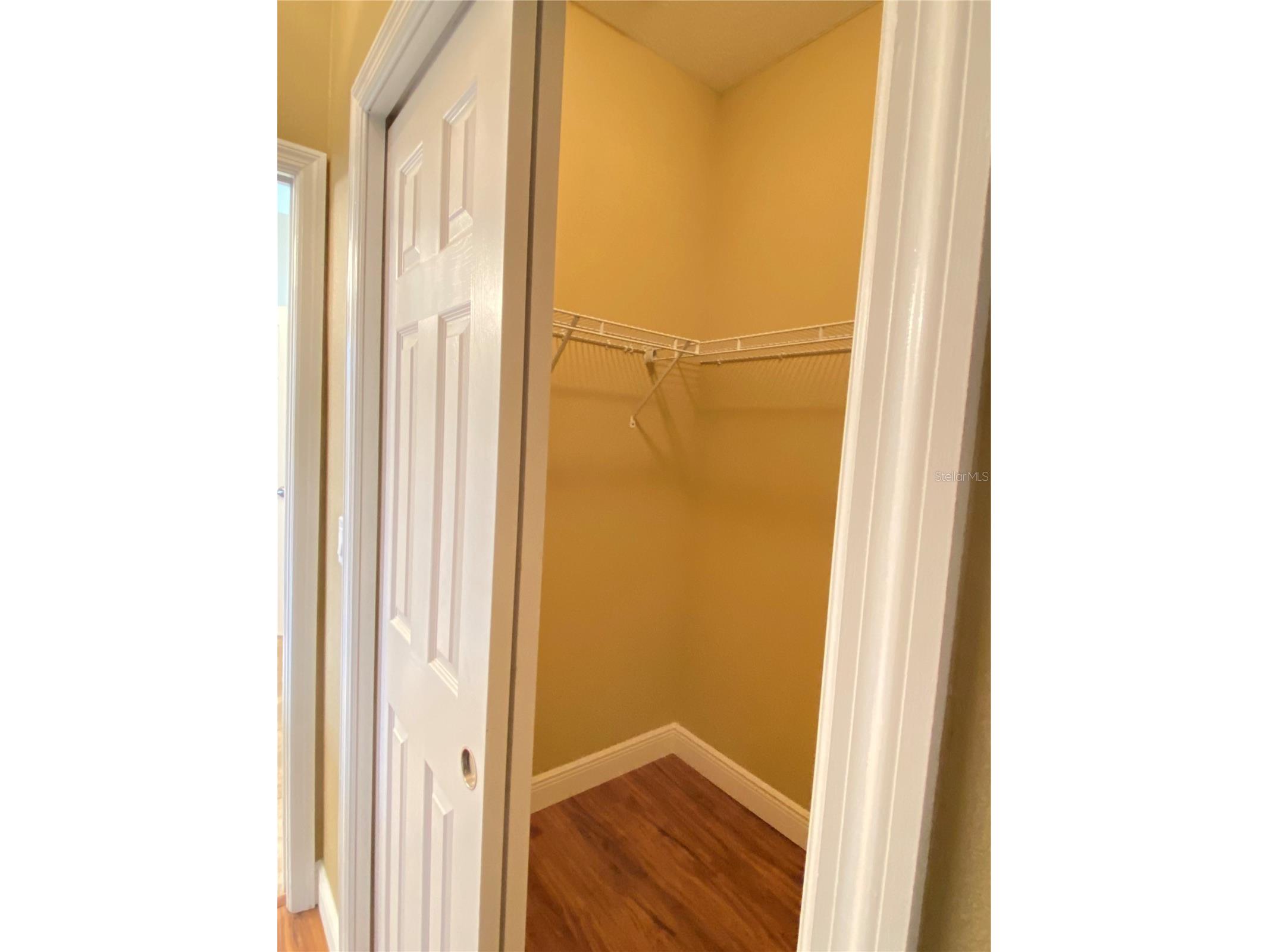 30542 Lipizzan Terrace Mount Dora FL 32757 O6382840 image14