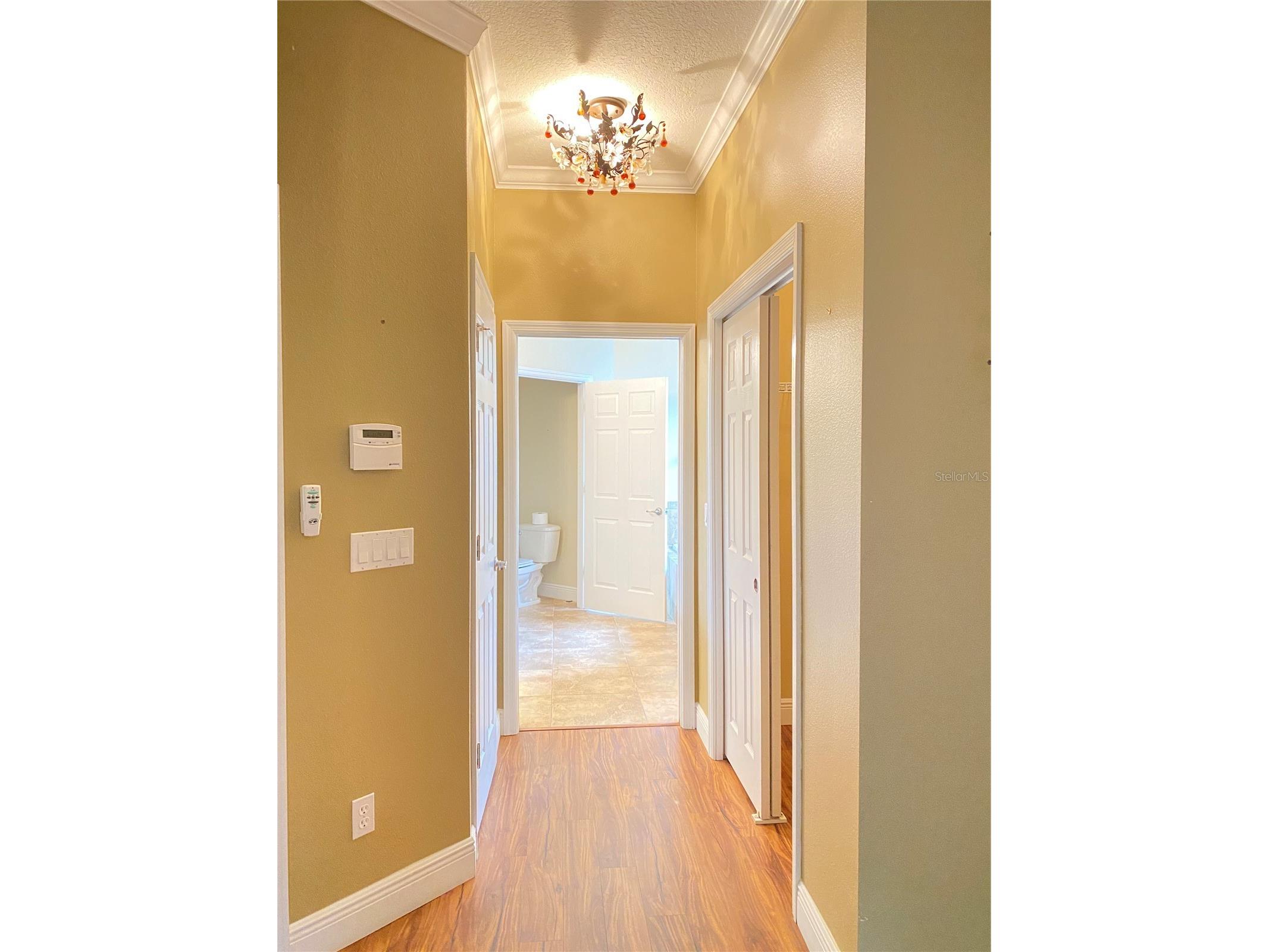 30542 Lipizzan Terrace Mount Dora FL 32757 O6382840 image15