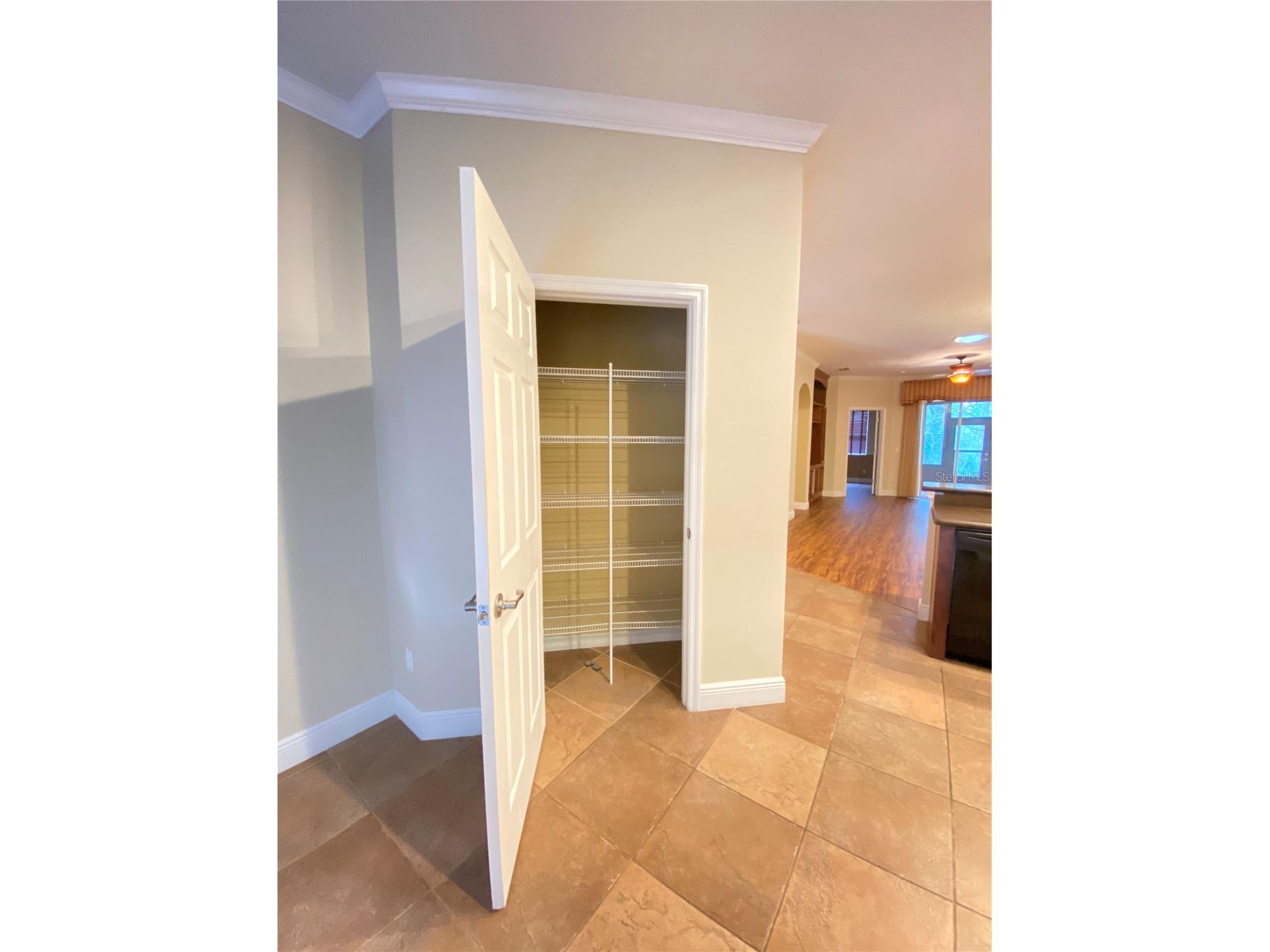 30542 Lipizzan Terrace Mount Dora FL 32757 O6382840 image5