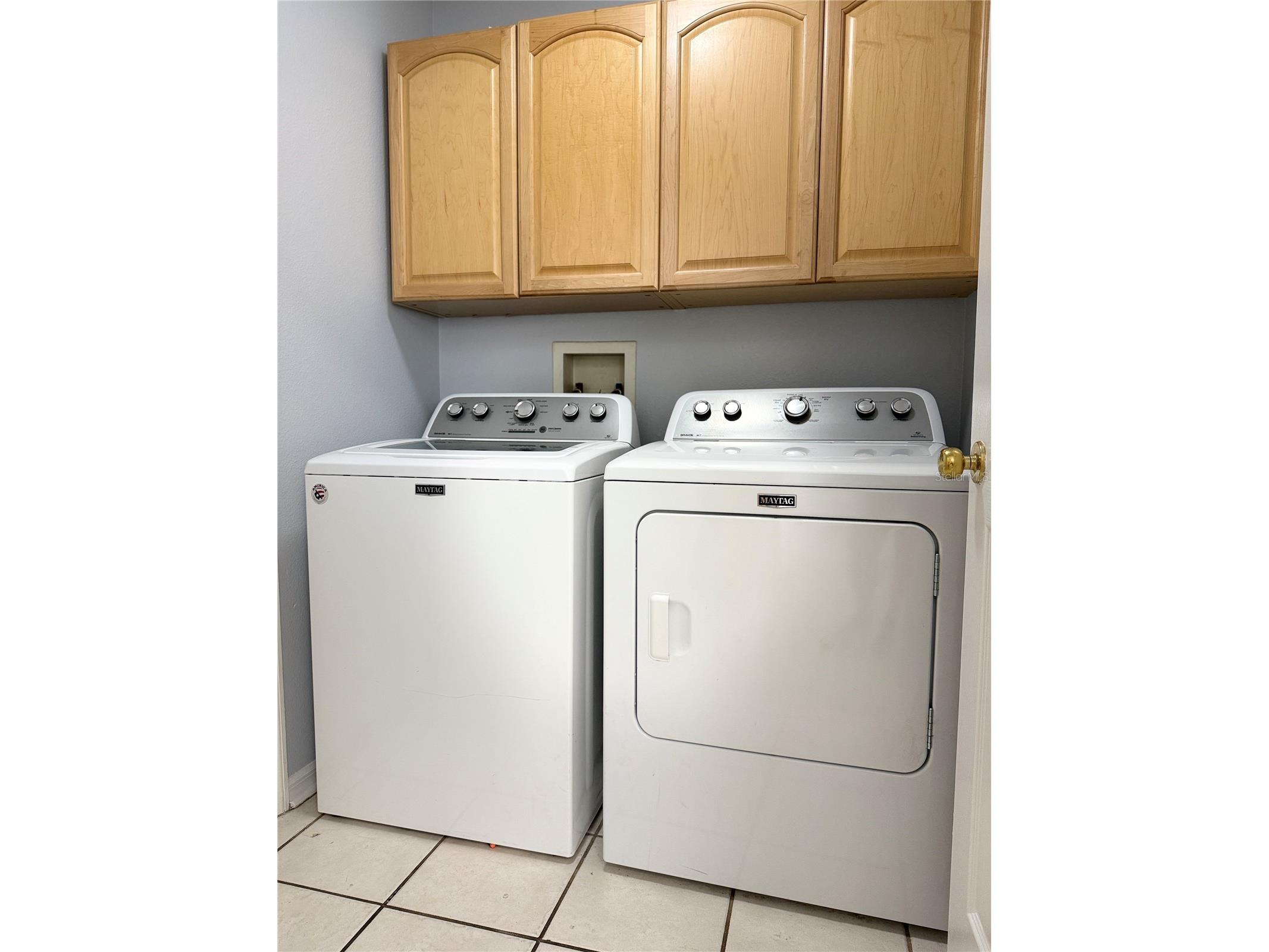 30542 Tremont Drive Wesley Chapel FL 33543 TB8465120 image10