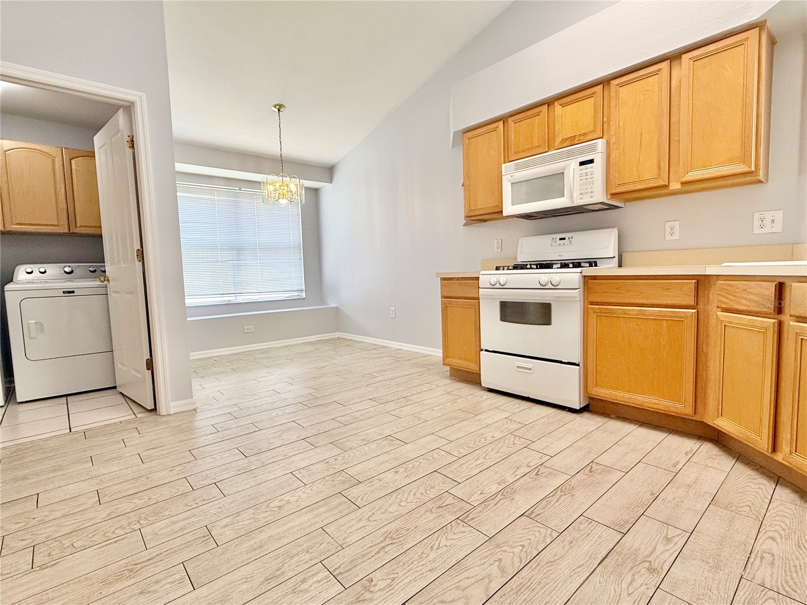30542 Tremont Drive Wesley Chapel FL 33543 TB8465120 image6