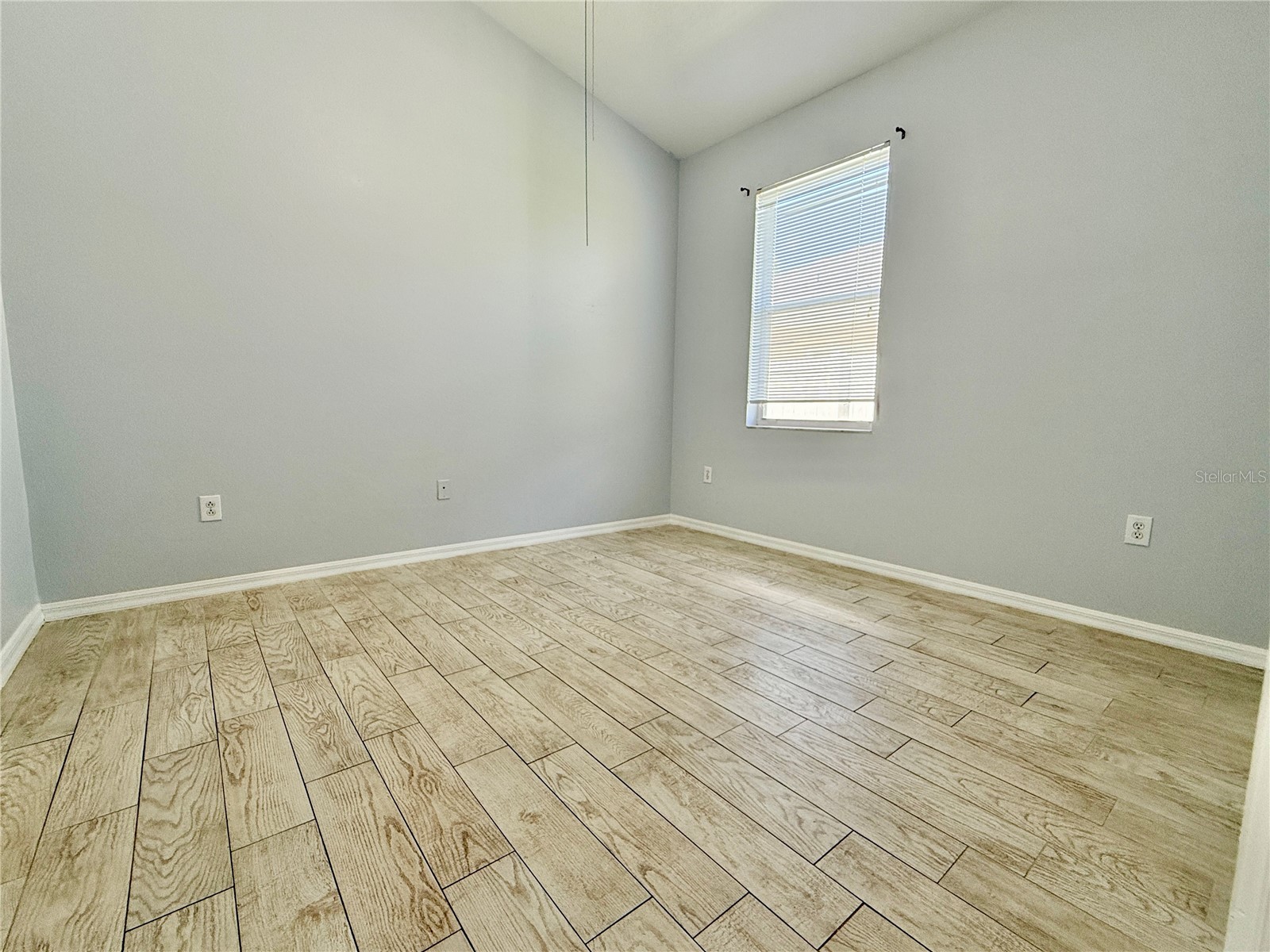 30542 Tremont Drive Wesley Chapel FL 33543 TB8465120 image7