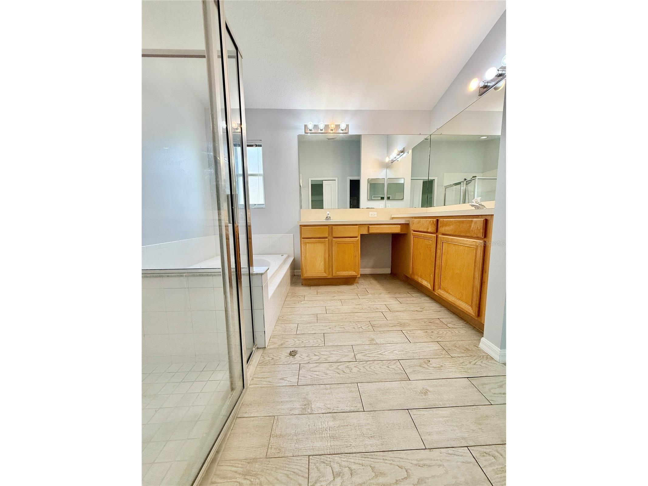 30542 Tremont Drive Wesley Chapel FL 33543 TB8465120 image8