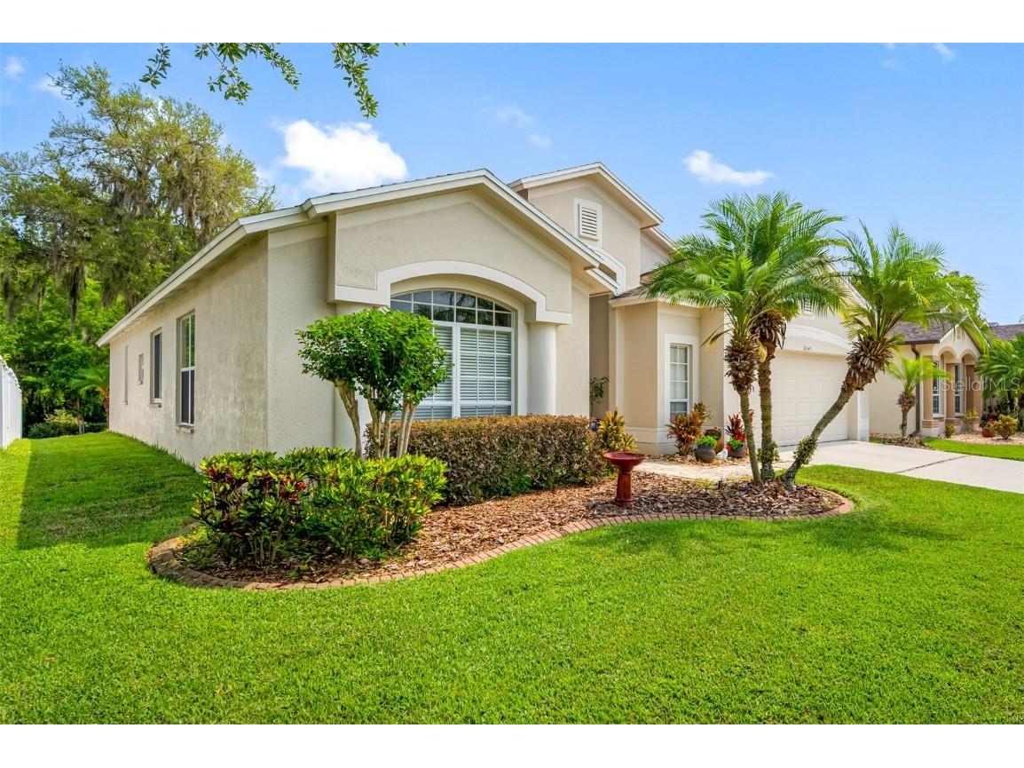 30543 Lanesborough Circle Wesley Chapel FL 33543 T3443657 image1