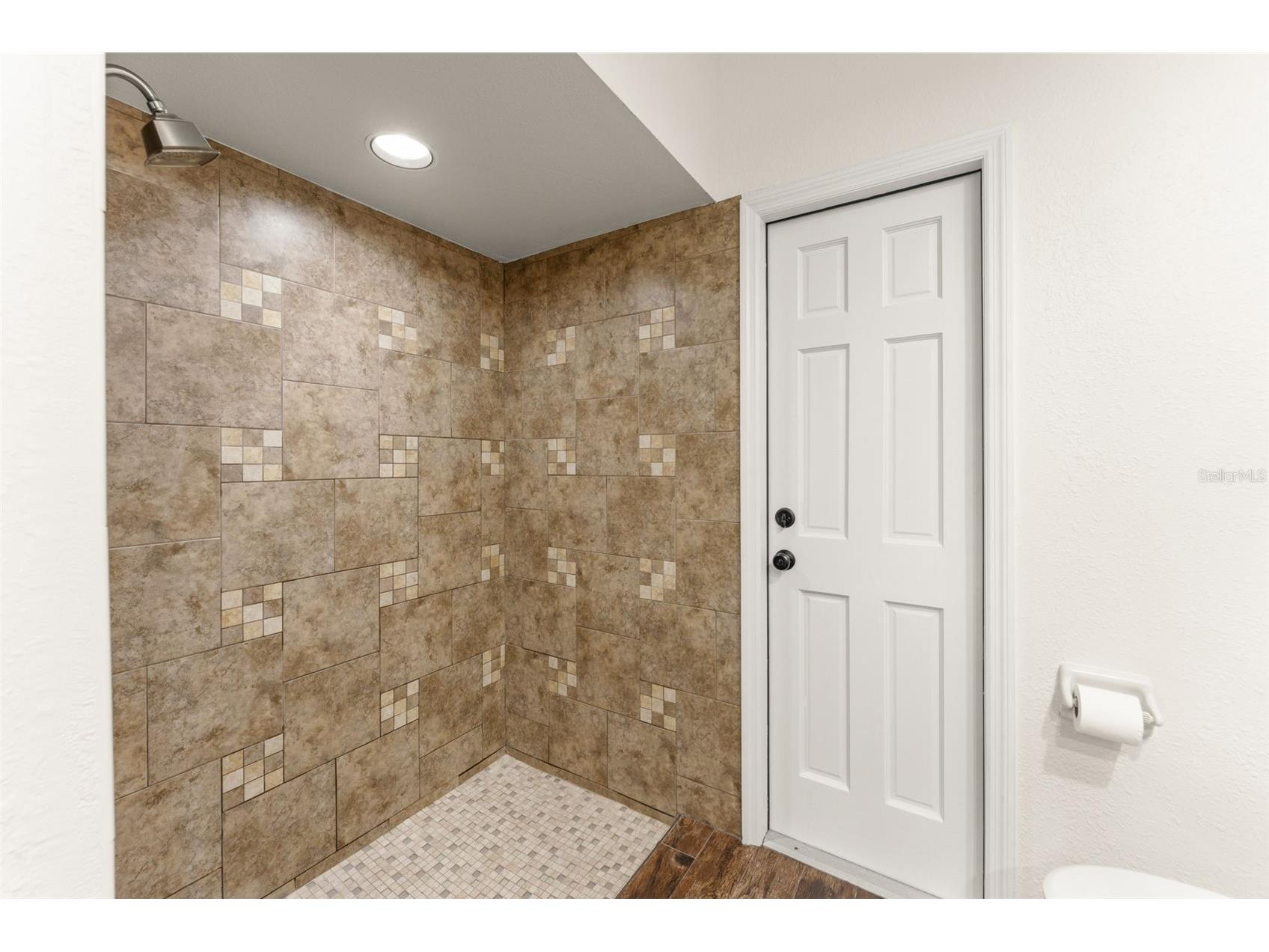 30543 Seaforth Drive Sorrento FL 32776 O6419644 image24