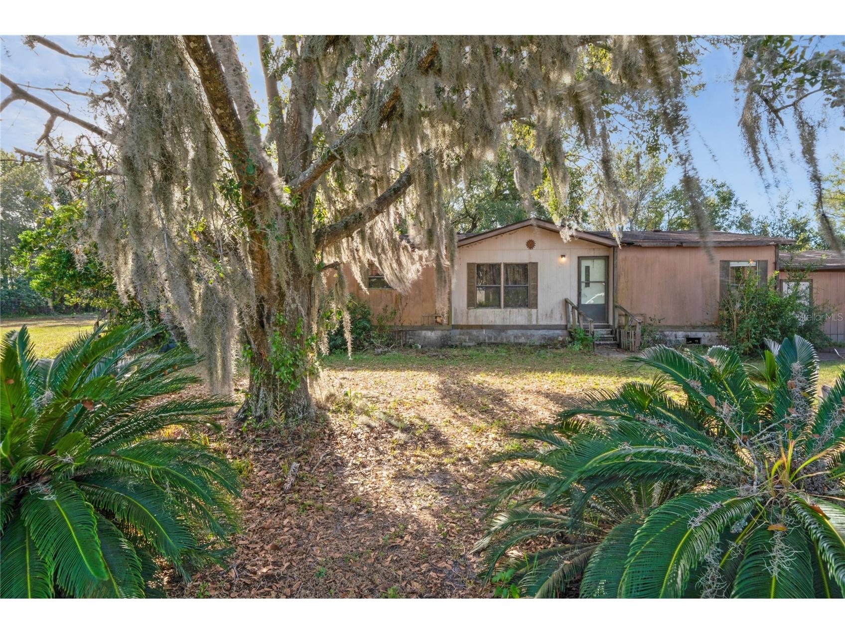 30546 Eastport Drive Wesley Chapel FL 33545 TB8457716 image1