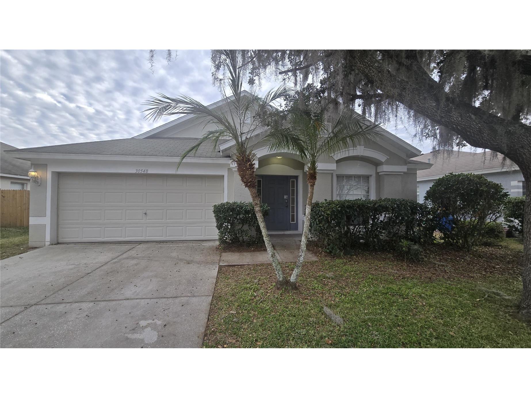 30548 Lanesborough Circle Wesley Chapel FL 33543 TB8460241 image1