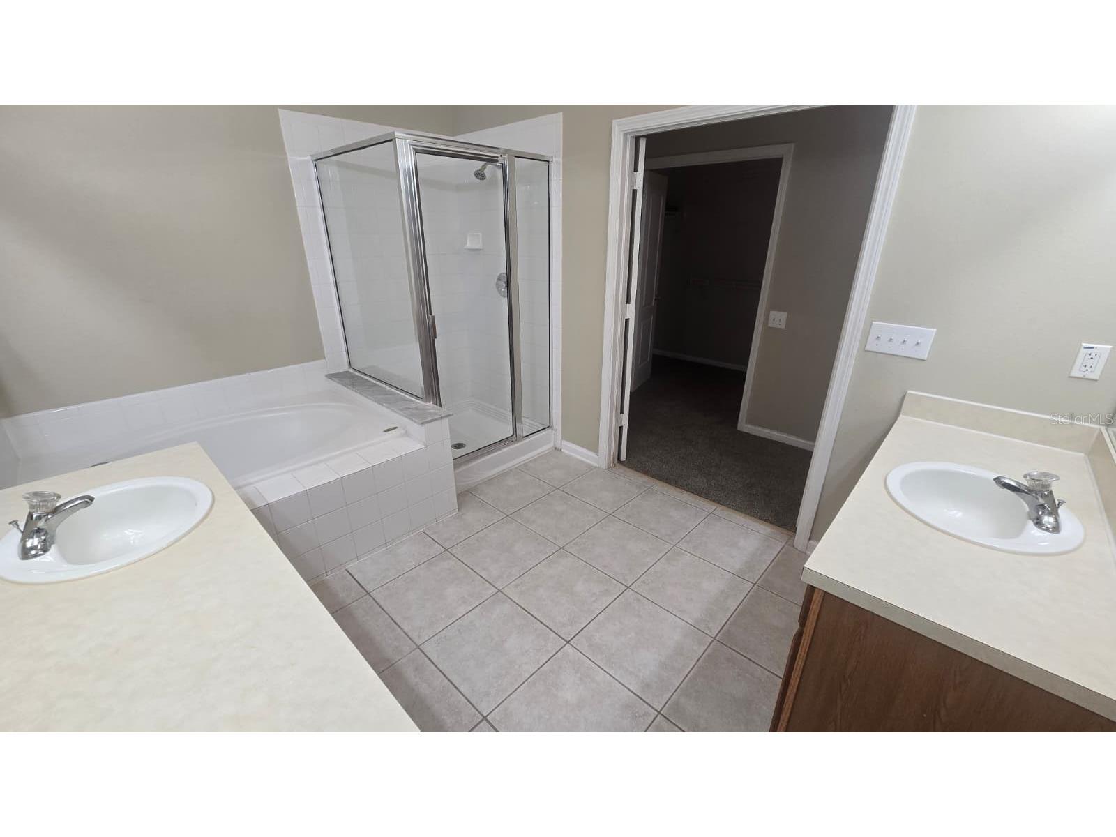 30548 Lanesborough Circle Wesley Chapel FL 33543 TB8460241 image6