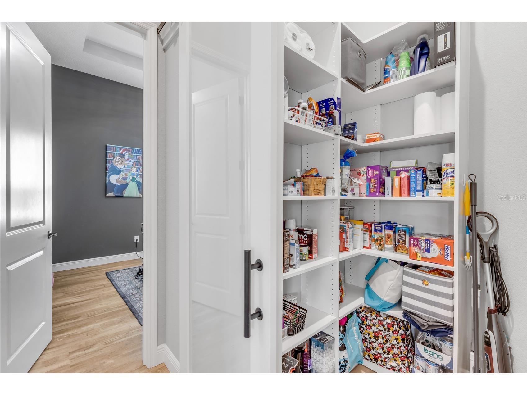 3055 Isola Bella Boulevard Mount Dora FL 32757 NS1087972 image28