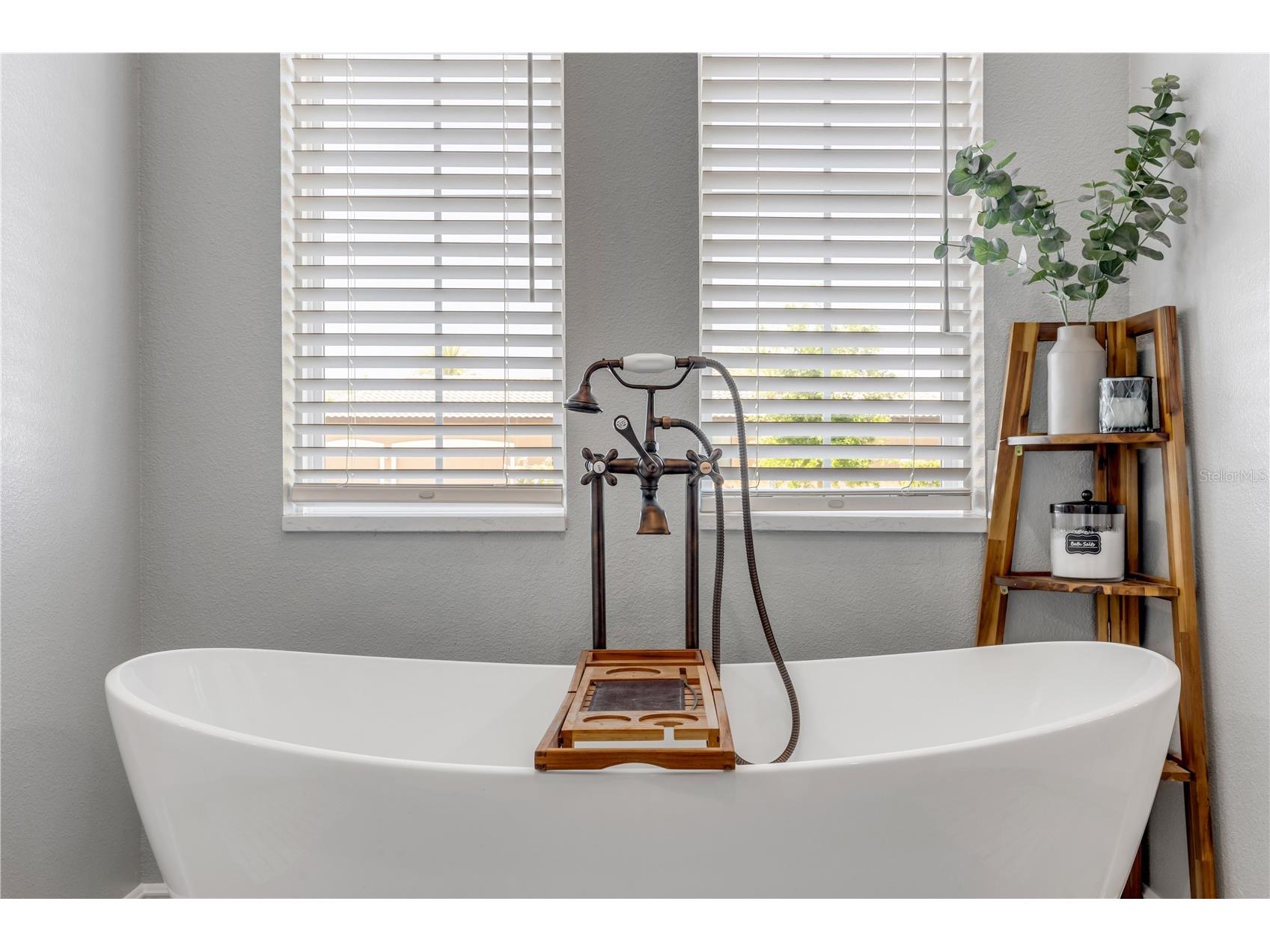 3055 Isola Bella Boulevard Mount Dora FL 32757 NS1087972 image53