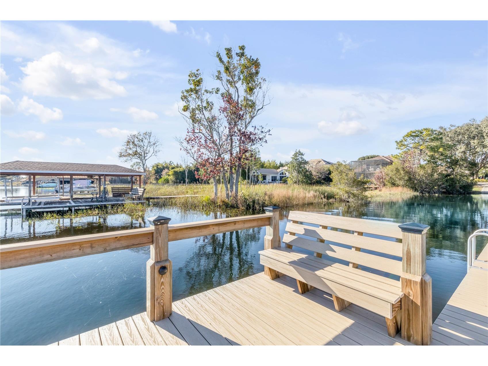3055 Isola Bella Boulevard Mount Dora FL 32757 NS1087972 image86