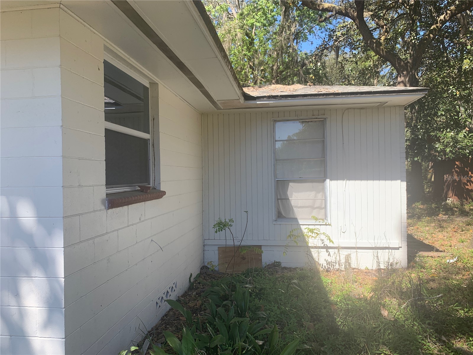 3055 Oak Road Orange Park FL 32065 TB8488898 image9