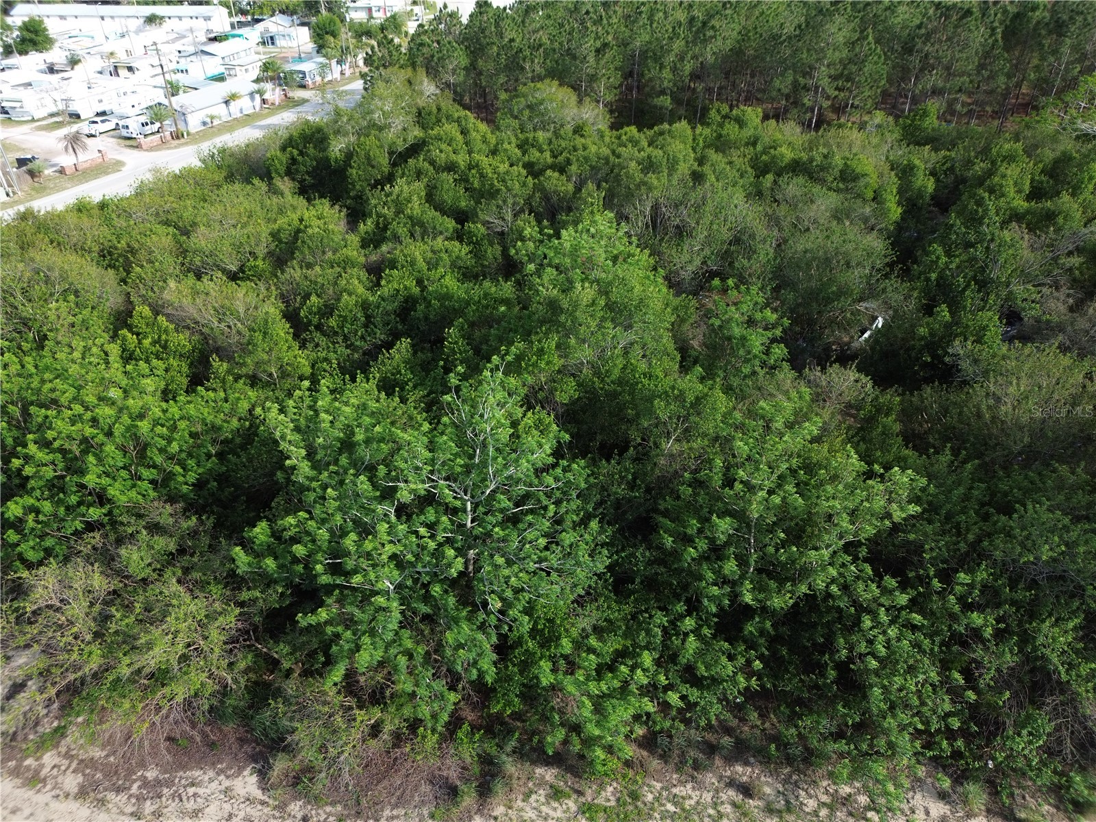3055 Sr-17 N Sebring FL 33870 L4961866 image1