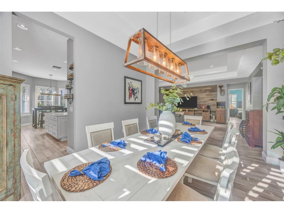 30552 Ivy Forge Court Wesley Chapel FL 33543 TB8456766 image10