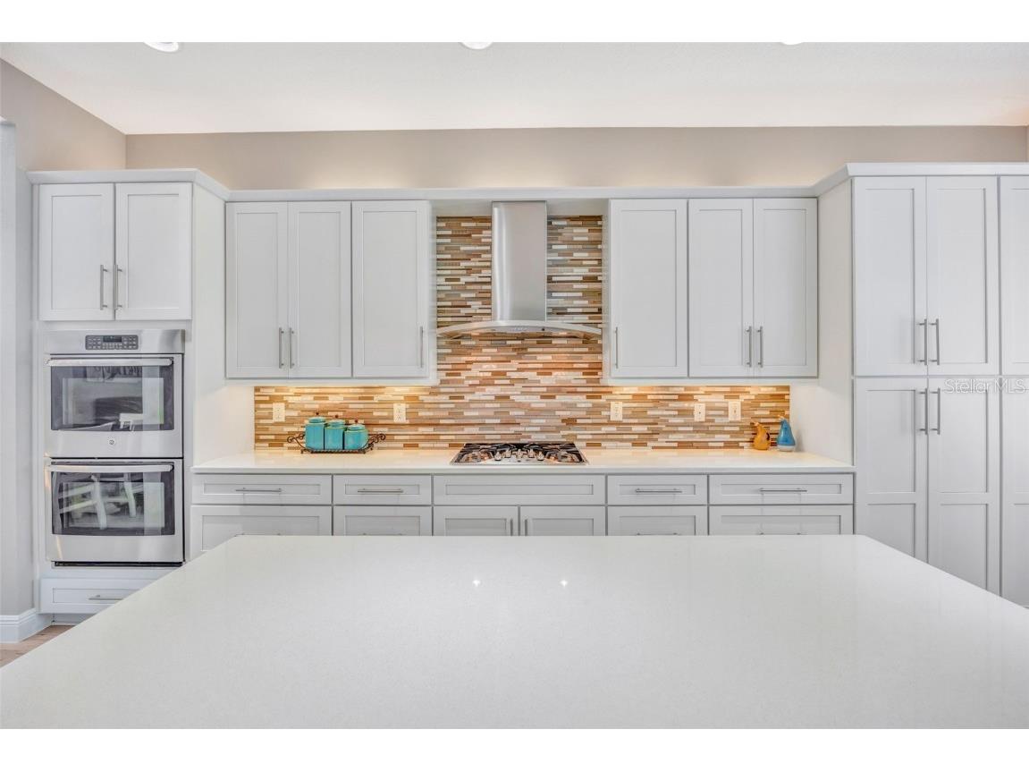 30552 Ivy Forge Court Wesley Chapel FL 33543 TB8456766 image16