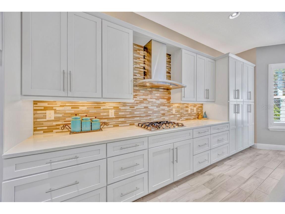 30552 Ivy Forge Court Wesley Chapel FL 33543 TB8456766 image17