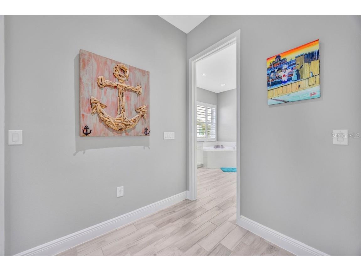 30552 Ivy Forge Court Wesley Chapel FL 33543 TB8456766 image30