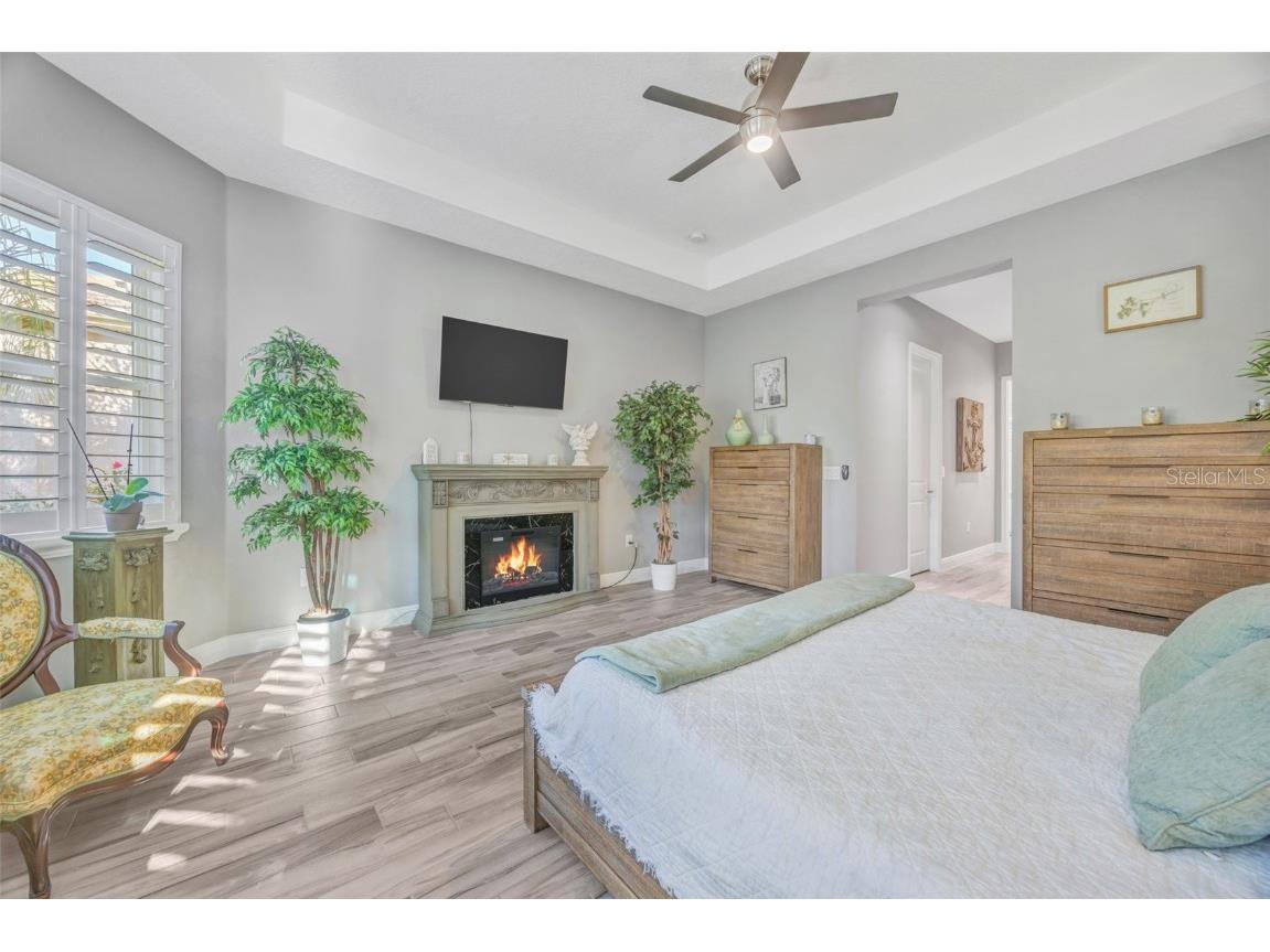 30552 Ivy Forge Court Wesley Chapel FL 33543 TB8456766 image34