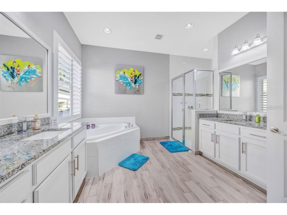 30552 Ivy Forge Court Wesley Chapel FL 33543 TB8456766 image37