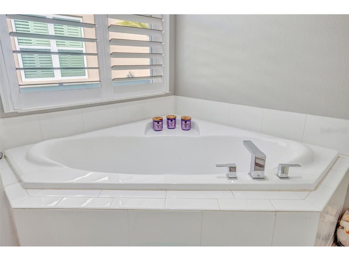 30552 Ivy Forge Court Wesley Chapel FL 33543 TB8456766 image38