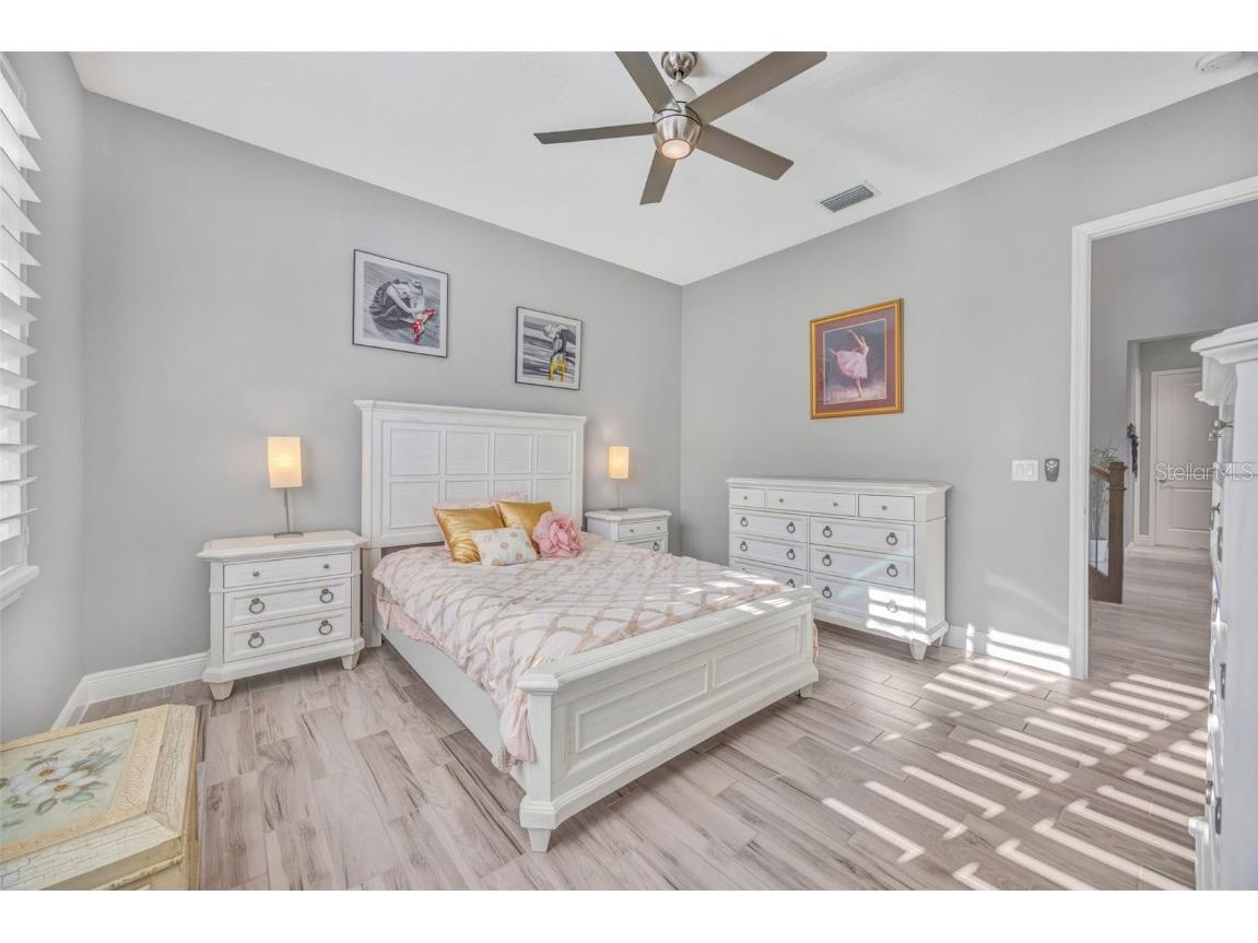 30552 Ivy Forge Court Wesley Chapel FL 33543 TB8456766 image47