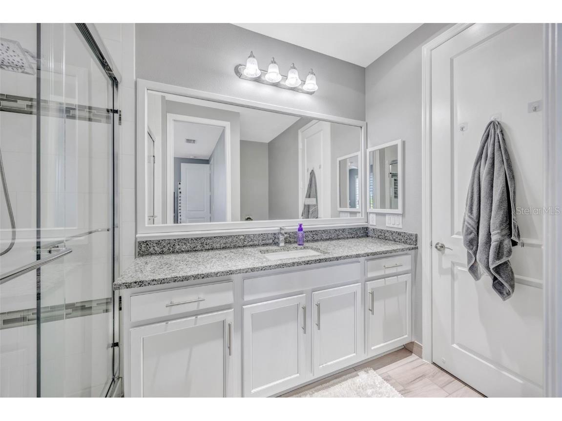 30552 Ivy Forge Court Wesley Chapel FL 33543 TB8456766 image58