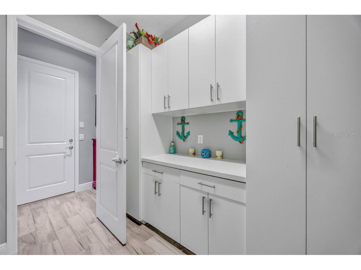 30552 Ivy Forge Court Wesley Chapel FL 33543 TB8456766 image61