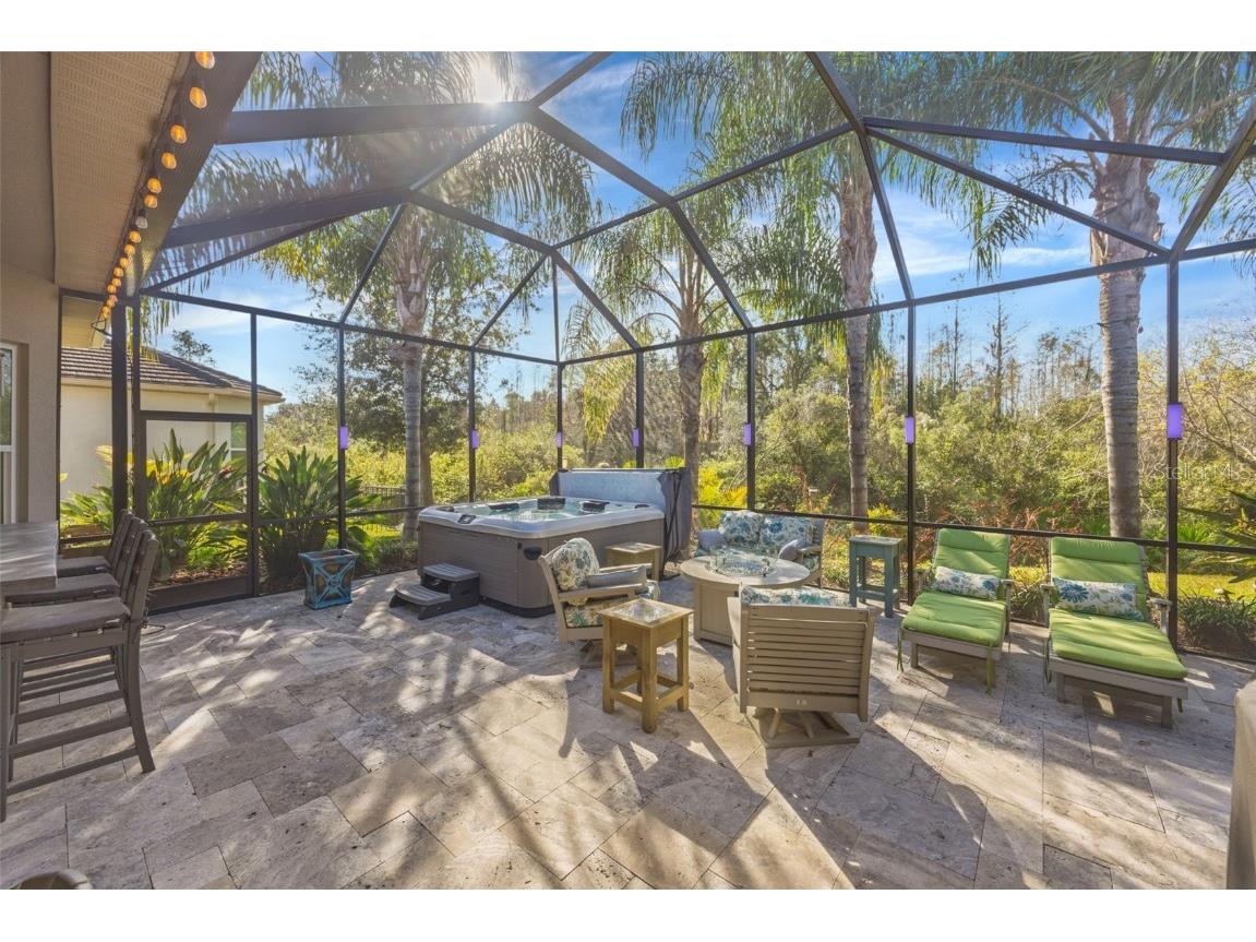 30552 Ivy Forge Court Wesley Chapel FL 33543 TB8456766 image66