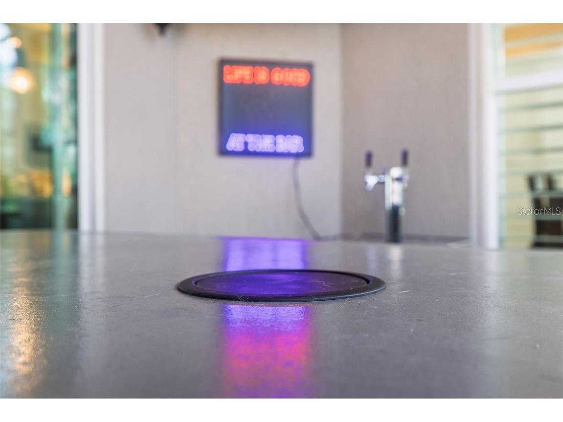 30552 Ivy Forge Court Wesley Chapel FL 33543 TB8456766 image71