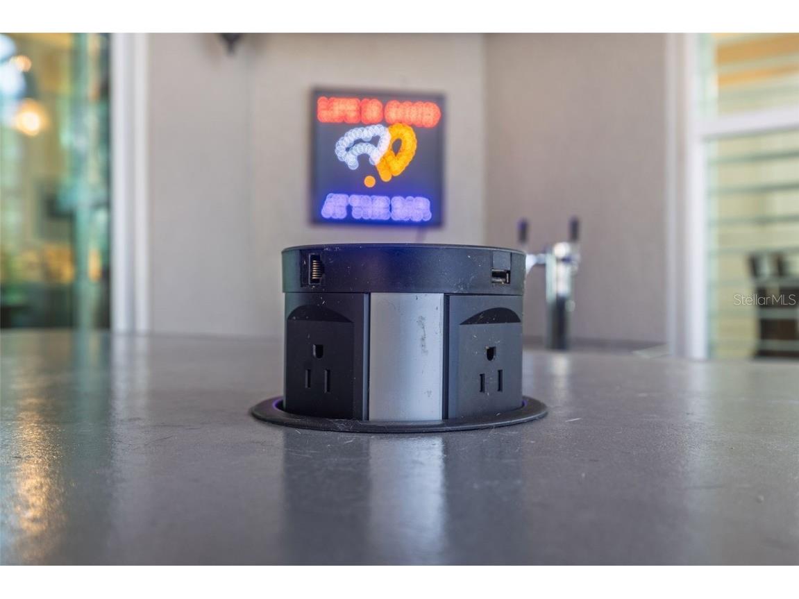 30552 Ivy Forge Court Wesley Chapel FL 33543 TB8456766 image72