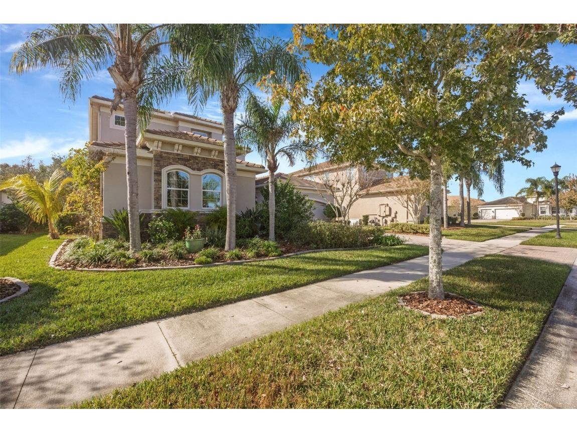 30552 Ivy Forge Court Wesley Chapel FL 33543 TB8456766 image74