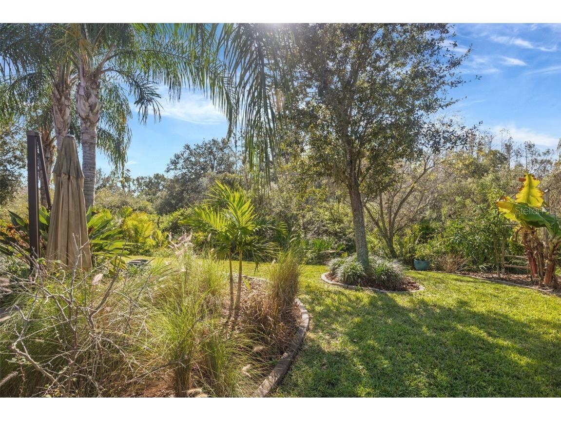 30552 Ivy Forge Court Wesley Chapel FL 33543 TB8456766 image75