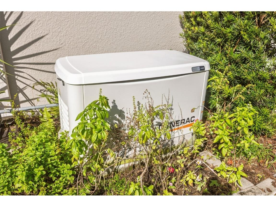 30552 Ivy Forge Court Wesley Chapel FL 33543 TB8456766 image77