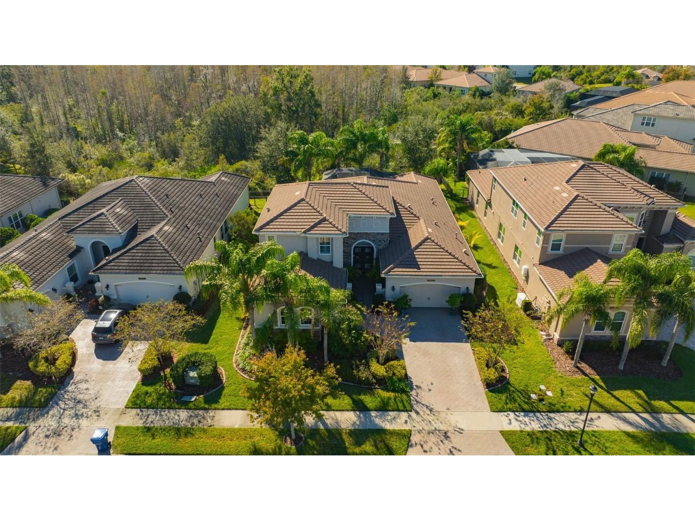 30552 Ivy Forge Court Wesley Chapel FL 33543 TB8456766 image78