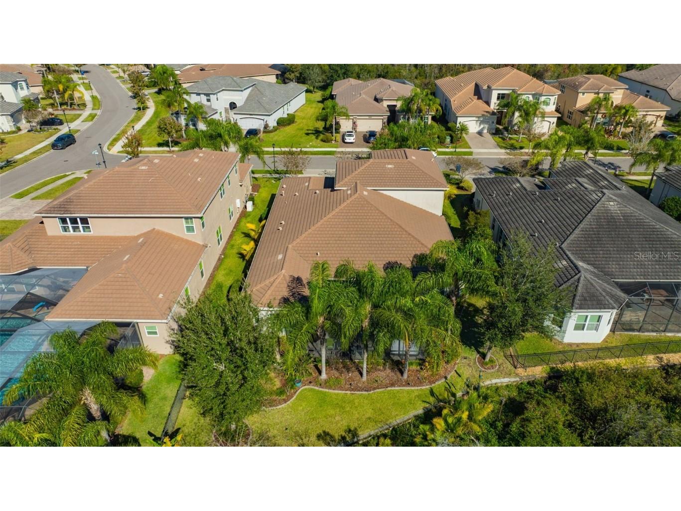 30552 Ivy Forge Court Wesley Chapel FL 33543 TB8456766 image79