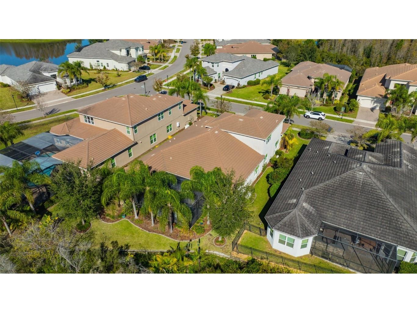 30552 Ivy Forge Court Wesley Chapel FL 33543 TB8456766 image80