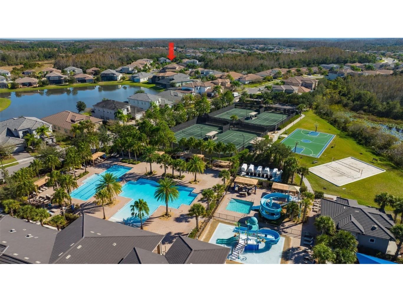 30552 Ivy Forge Court Wesley Chapel FL 33543 TB8456766 image94