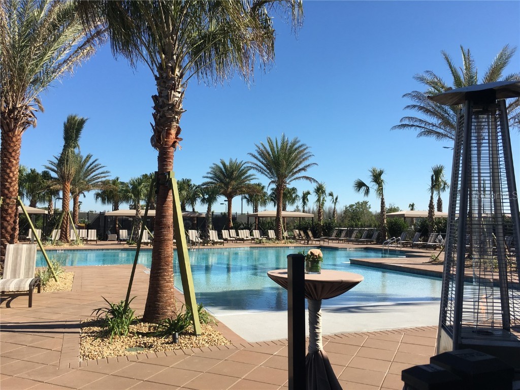 30552 Ivy Forge Court Wesley Chapel FL 33543 TB8456766 image97