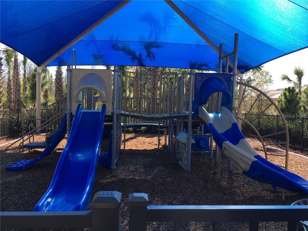 30552 Ivy Forge Court Wesley Chapel FL 33543 TB8456766 image99