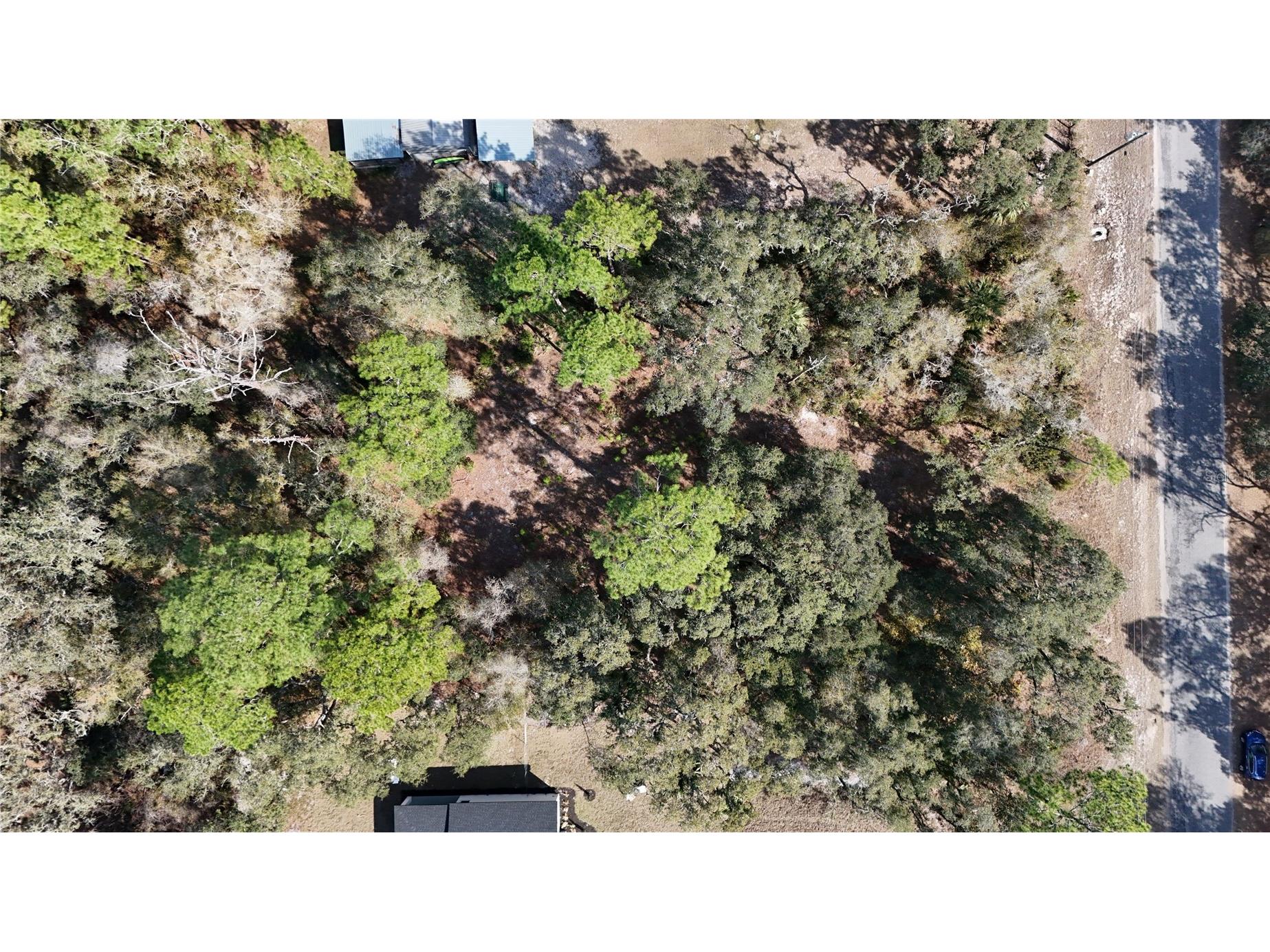 30553 Saffron Avenue Eustis FL 32736 - LAKE NORRIS ST JOHNS RIVER G5108226 image1